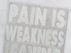 20successories-pain-is.jpg